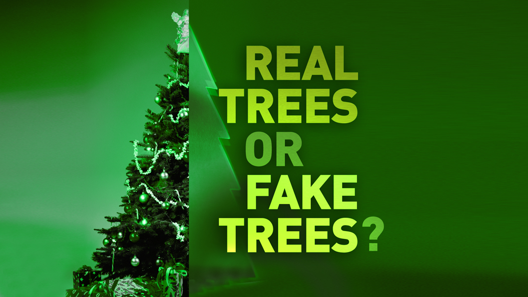 Real Trees or Fake Trees?